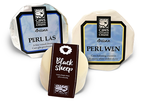 Welsh Cheese - Perl Wen, Perl Las, Black Sheep Ewes Milk cheese available from the Deli at Aberdyfi Butchers, Aberdovey